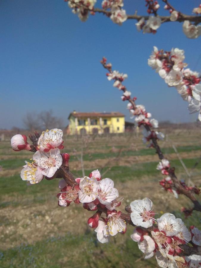 La Crosona Apartment Cola (Verona)